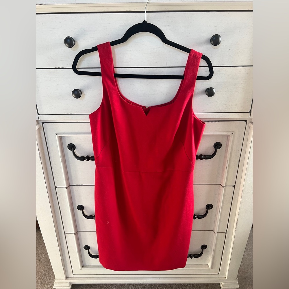 The Limited Bold Red Mini Dress